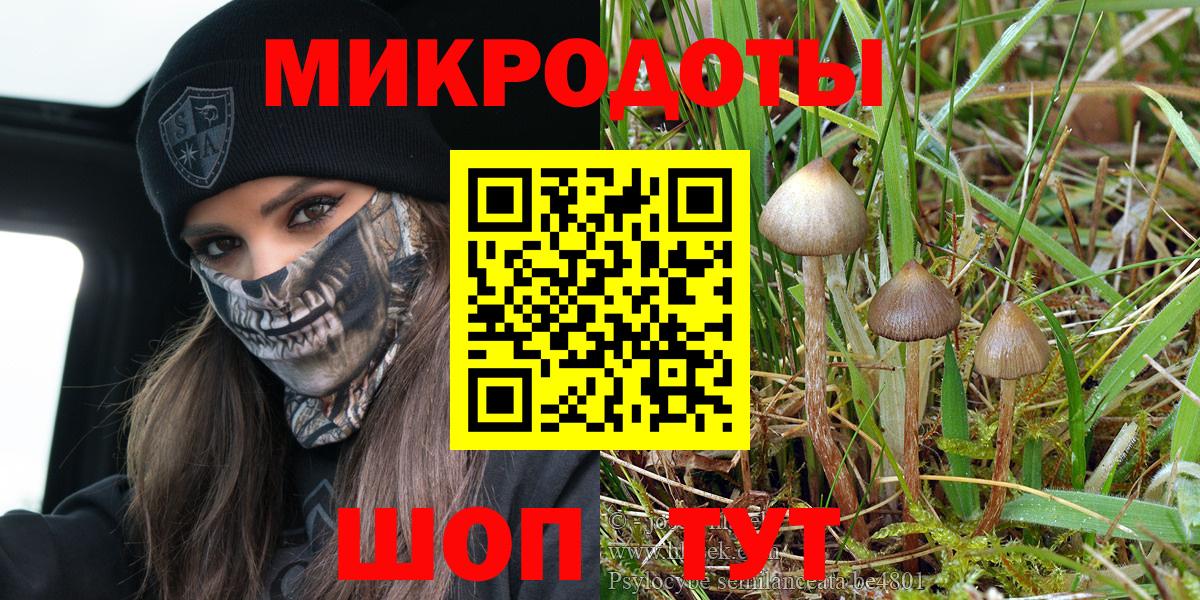 Псилоцибиновые грибы GOLDEN TEACHER  наркотики  Южноуральск  Вход с VPN 